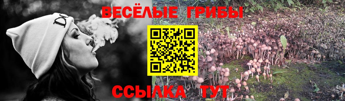 Галлюциногенные грибы MAGIC MUSHROOMS  Вход с VPN  Ефремов 